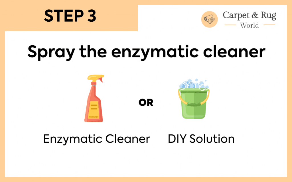 Spray the enzymatic clean