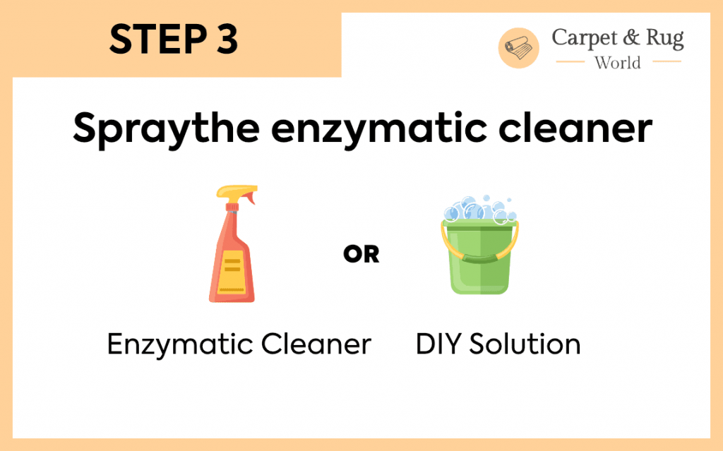 enzymatic cleaner