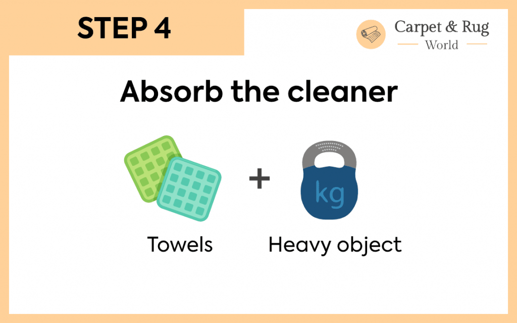 carpet cleaning instructions
