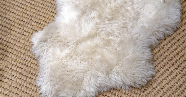 Animal Fur Rugs