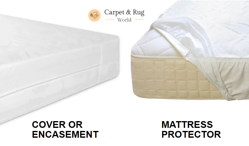 Bed Bug Mattress cover