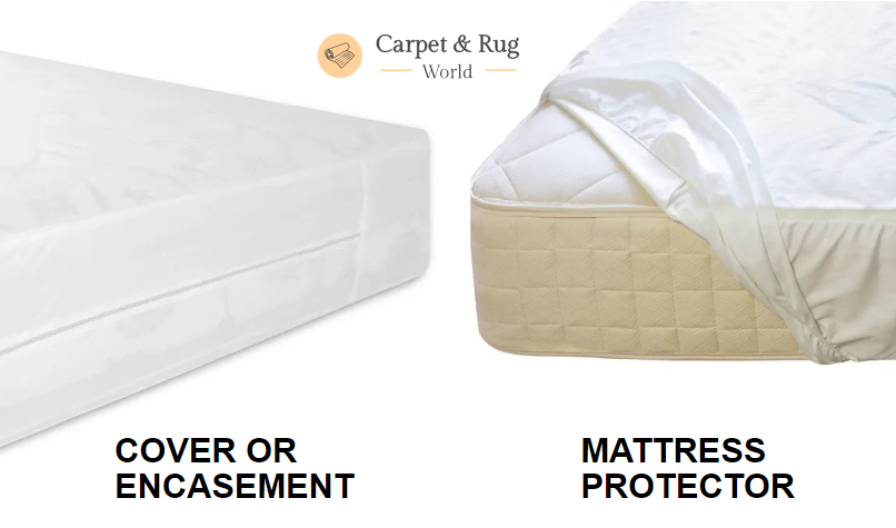 can i wash a bed bug mattress cover