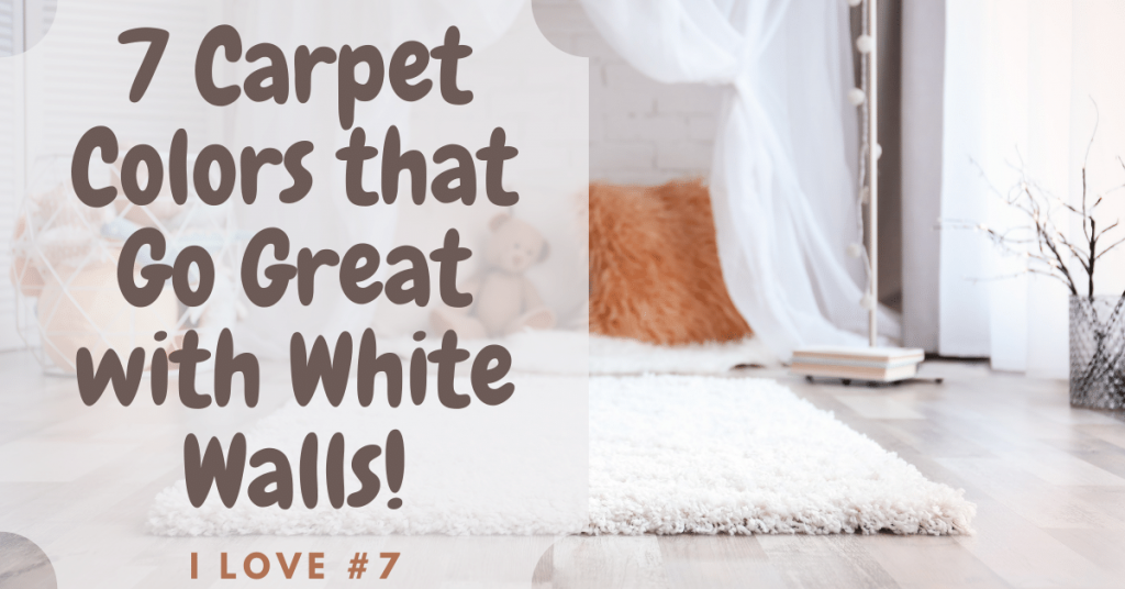 Carpet Colors that Go Great with White Walls