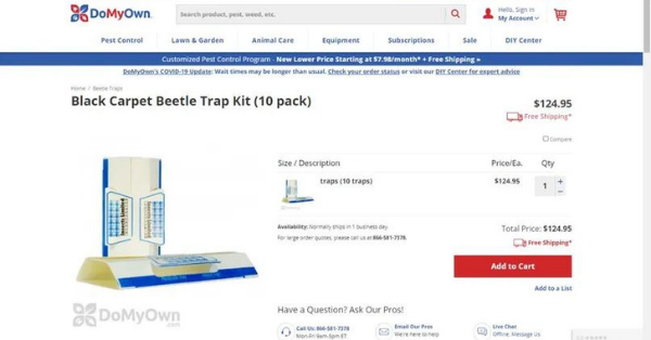 Black Carpet Beetle Trap Kit