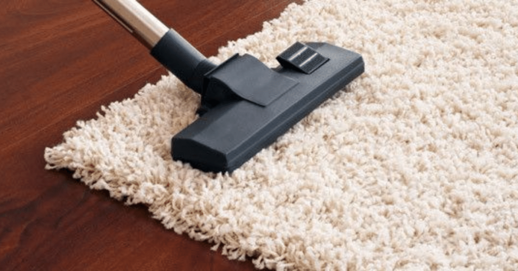 Clean a Shaggy Rug