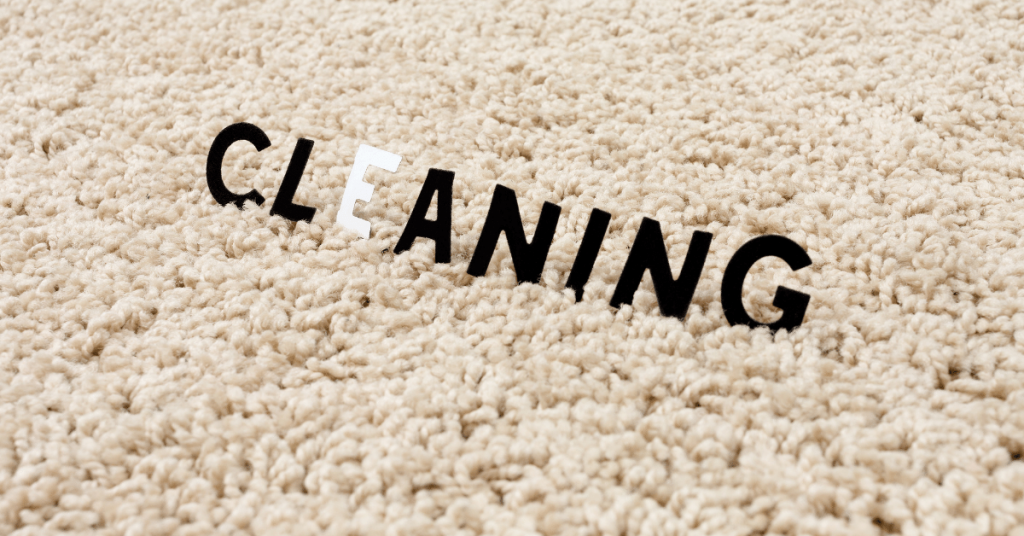 Clean carpet rug