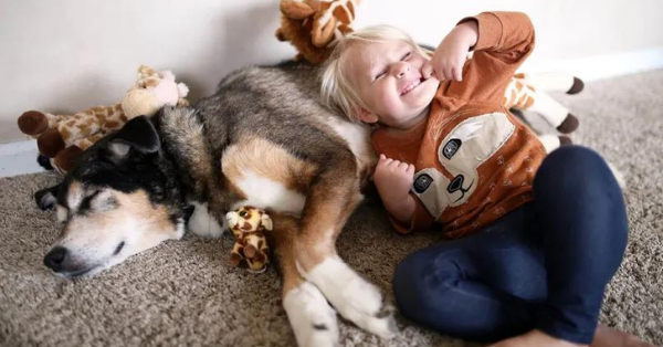 Dog and kid on the floor
