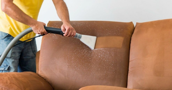 sofa cleaning