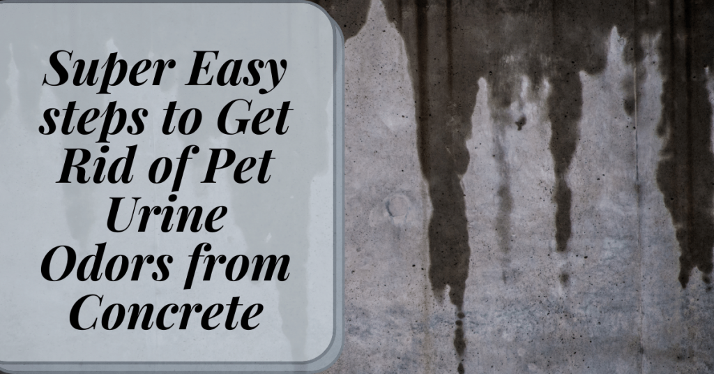 Super Easy steps to Get Rid of Pet Urine Odors from Concrete