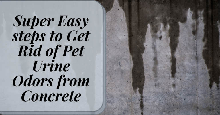 super-easy-steps-to-get-rid-of-pet-urine-odors-from-concrete-carpet