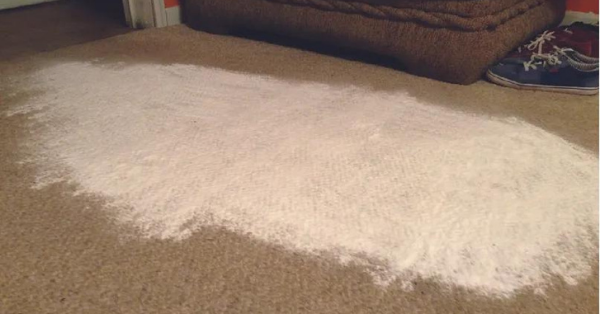 How to dry carpet with baking soda