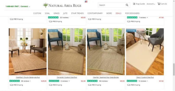 Natural Area Rugs