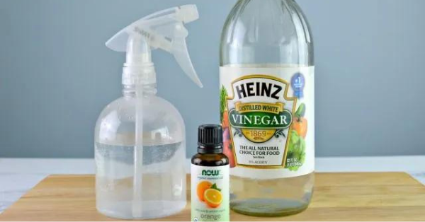 Odor Remover Spray Recipe