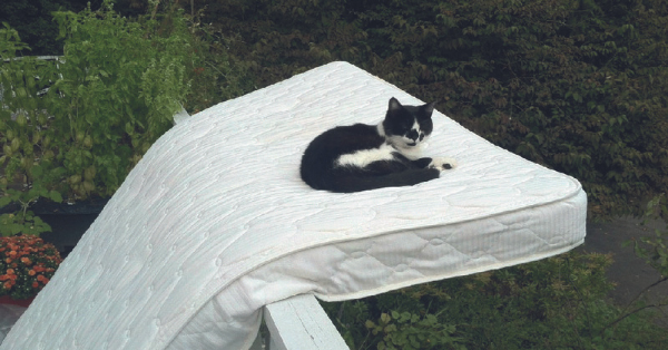 Place the mattress in the sun