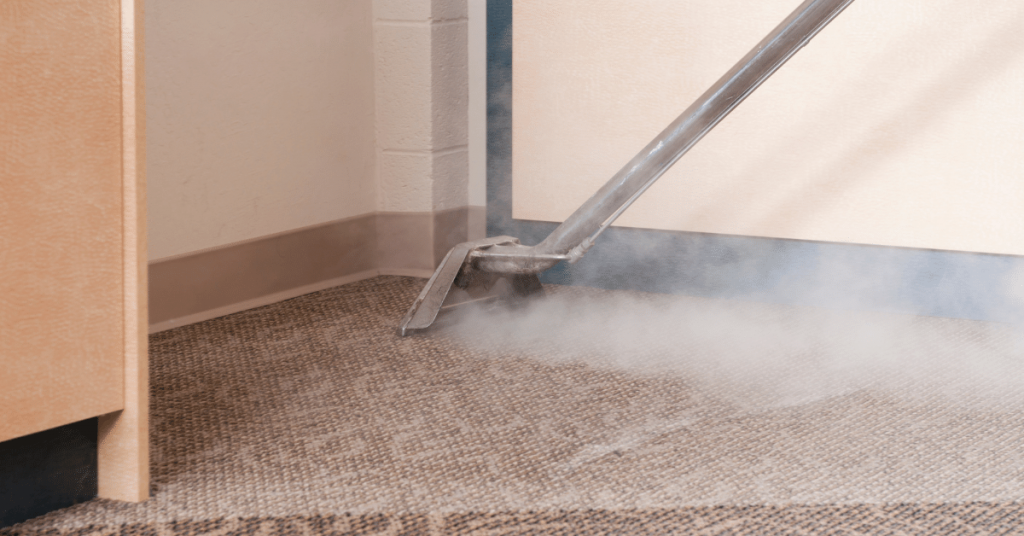 Professional Carpet Cleaning - Steam Cleaning