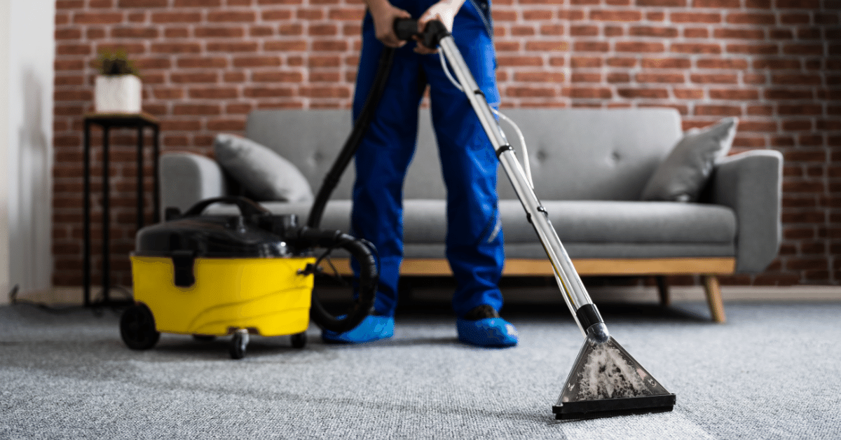 Is Professional Carpet Cleaning Worth It? (Pros and Cons) – Carpet and ...