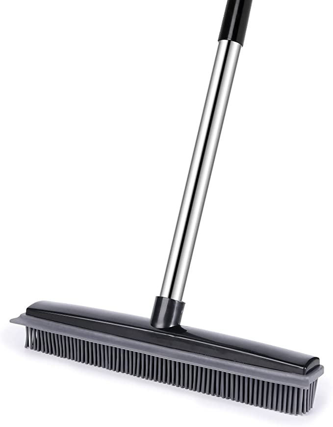 Push Broom with Squeegee