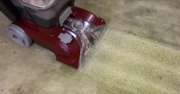 The Hoover Power Scrub Carpet Cleaner