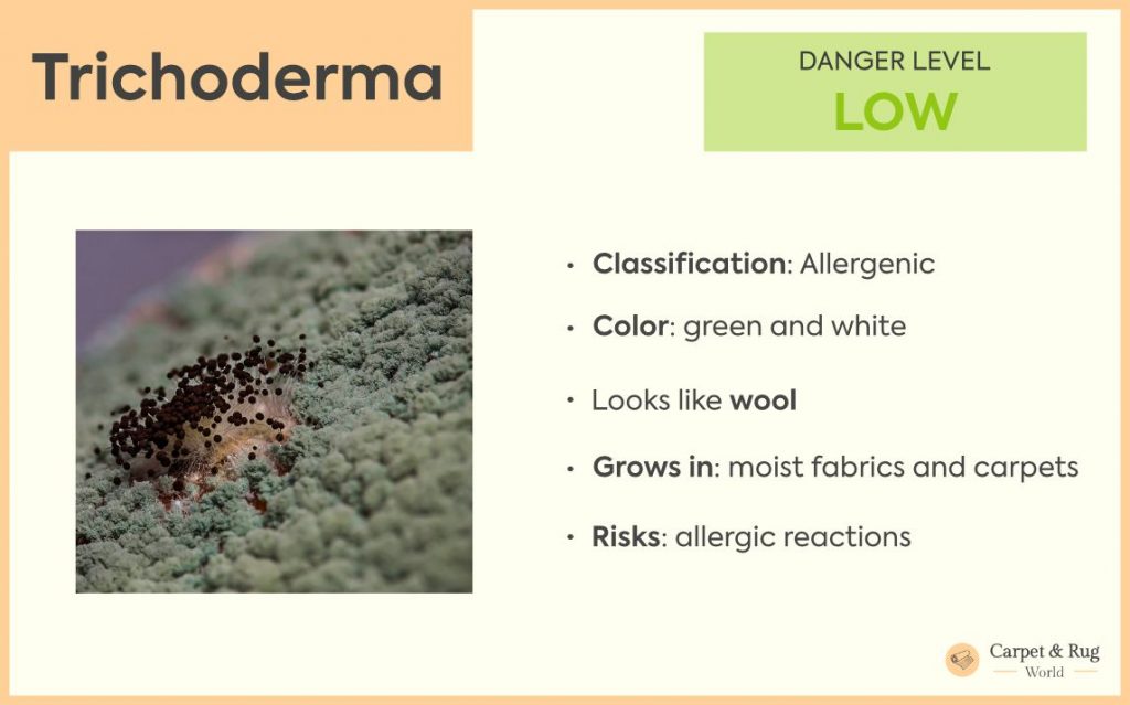 Trichoderma mold