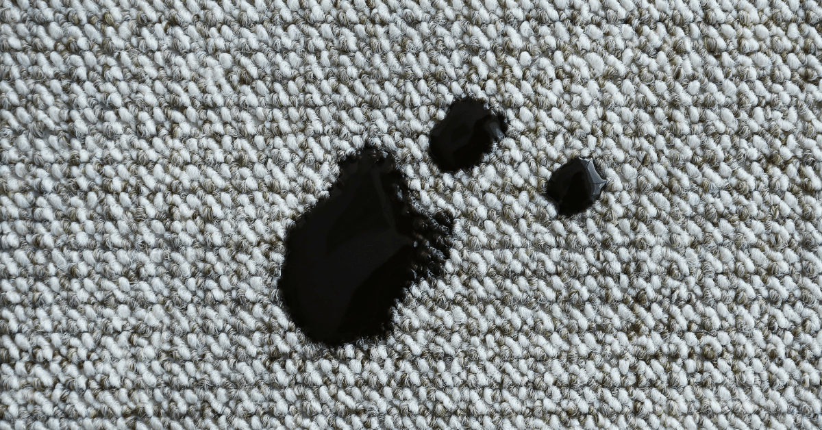 How to Get Out Stains in Carpet (8 Methods for 32 Types of Stains ...