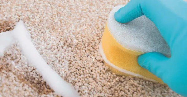 Use enzyme cleaner to remove cat urine from carpet