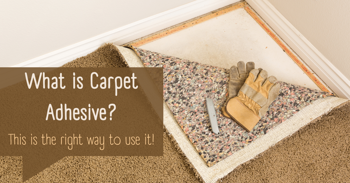 What is Carpet Adhesive? (This is the Right Way to Use it!) Carpet