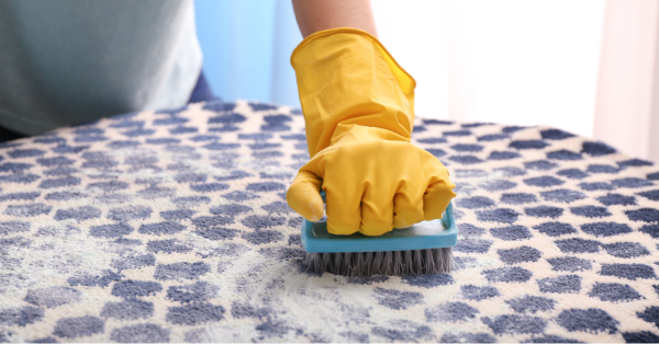 Woman Cleaning Carpet