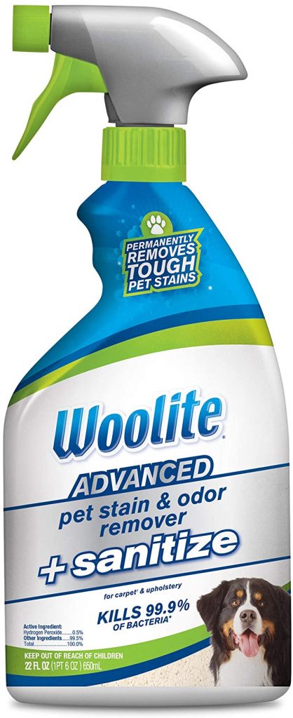 Woolite Advanced Pet Stain & Odor Remover