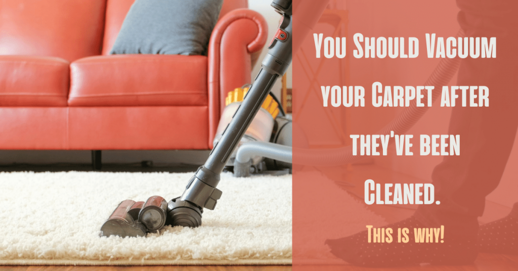 You Should Vacuum your Carpet after they've been Cleaned