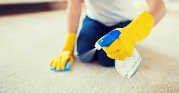 carpet bleaching