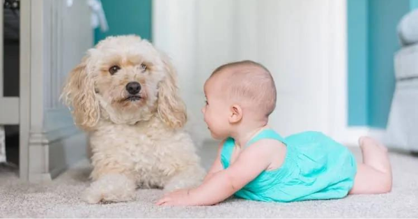 child with dog on carpet