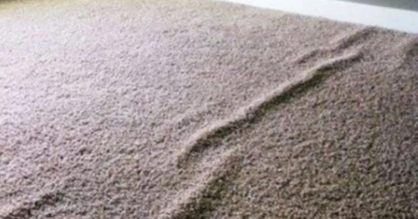 crumpled old carpet