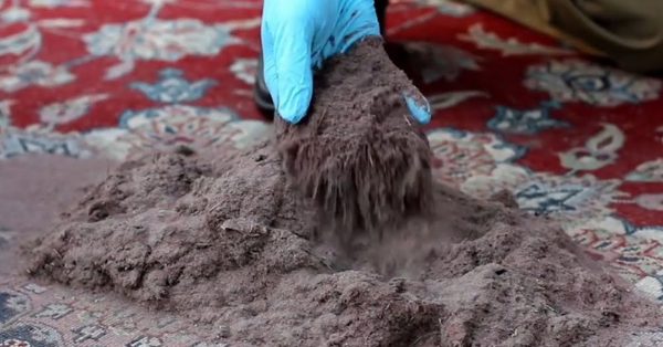 dust in carpet