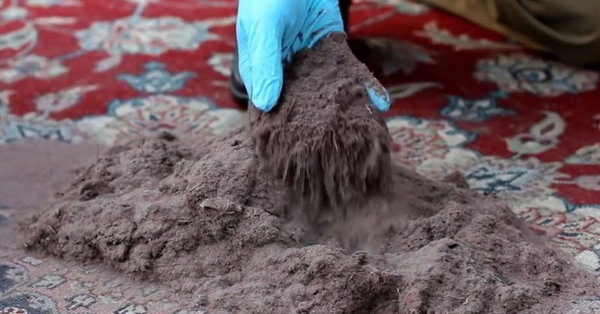 Dust in carpet