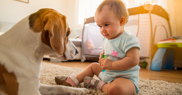 girl with dog