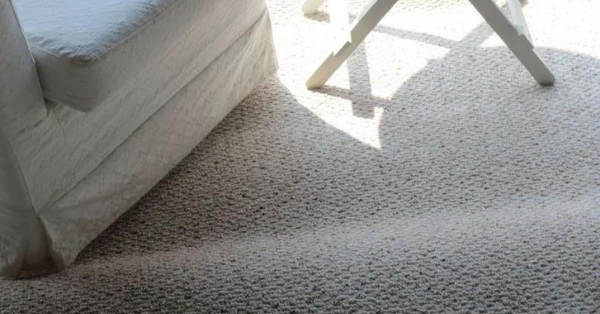 gray carpet in the living room