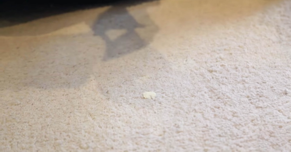 gum on carpet stain