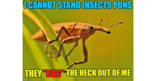 meme about bug