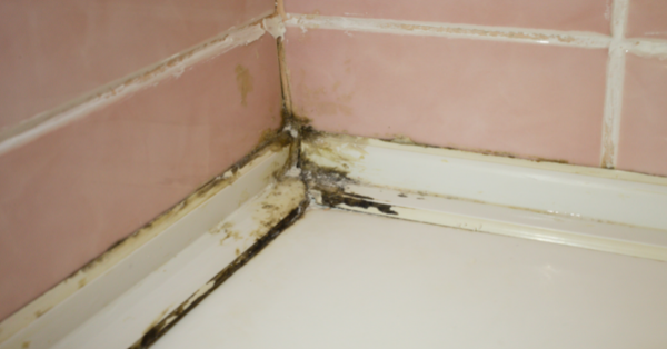 mold in bathroom