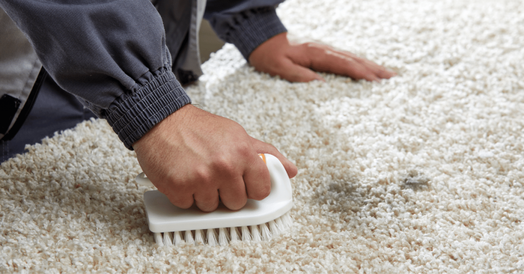 removing stains on carpet