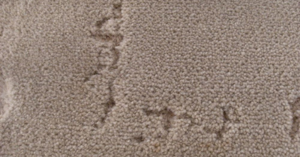 ruined carpet