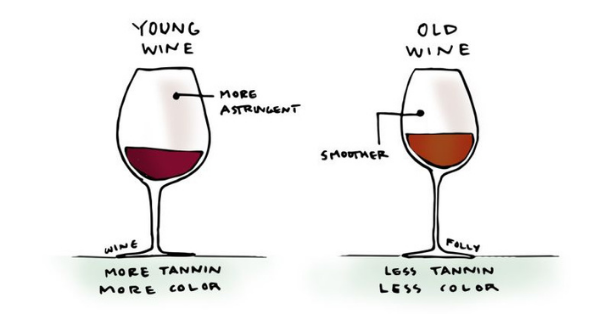 wine chromogens