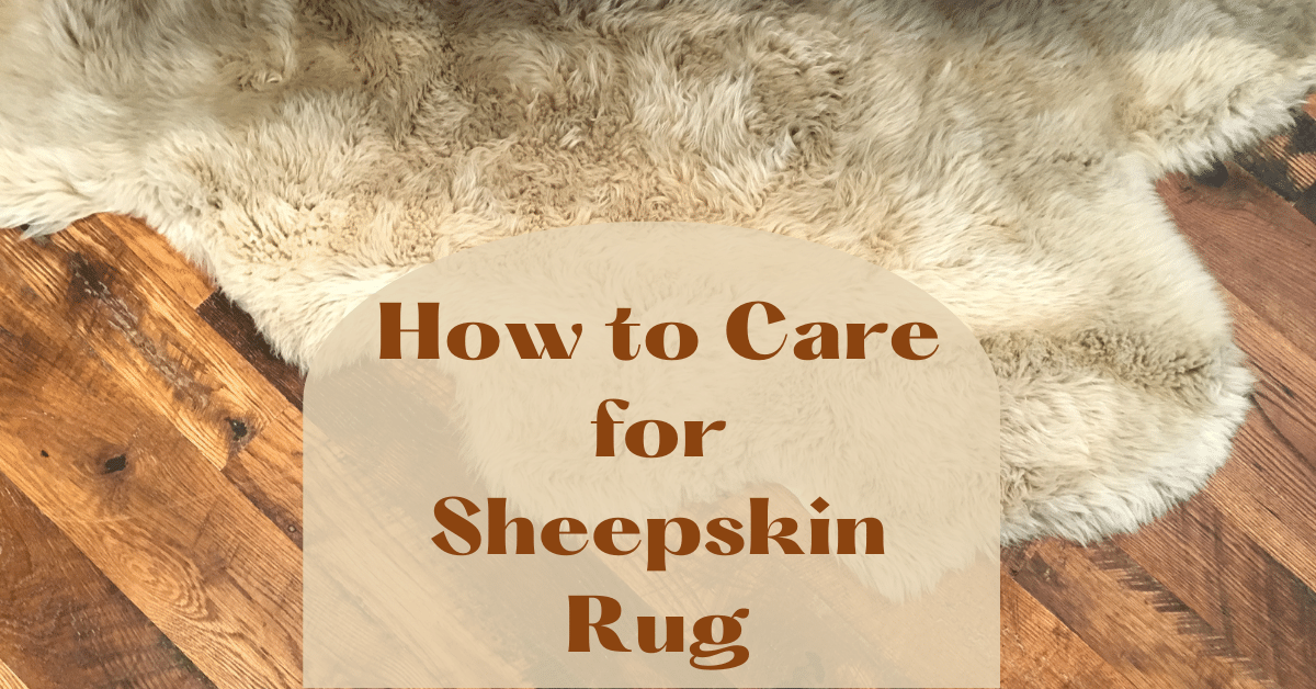 How to Care for Sheepskin Rug Carpet and Rug World